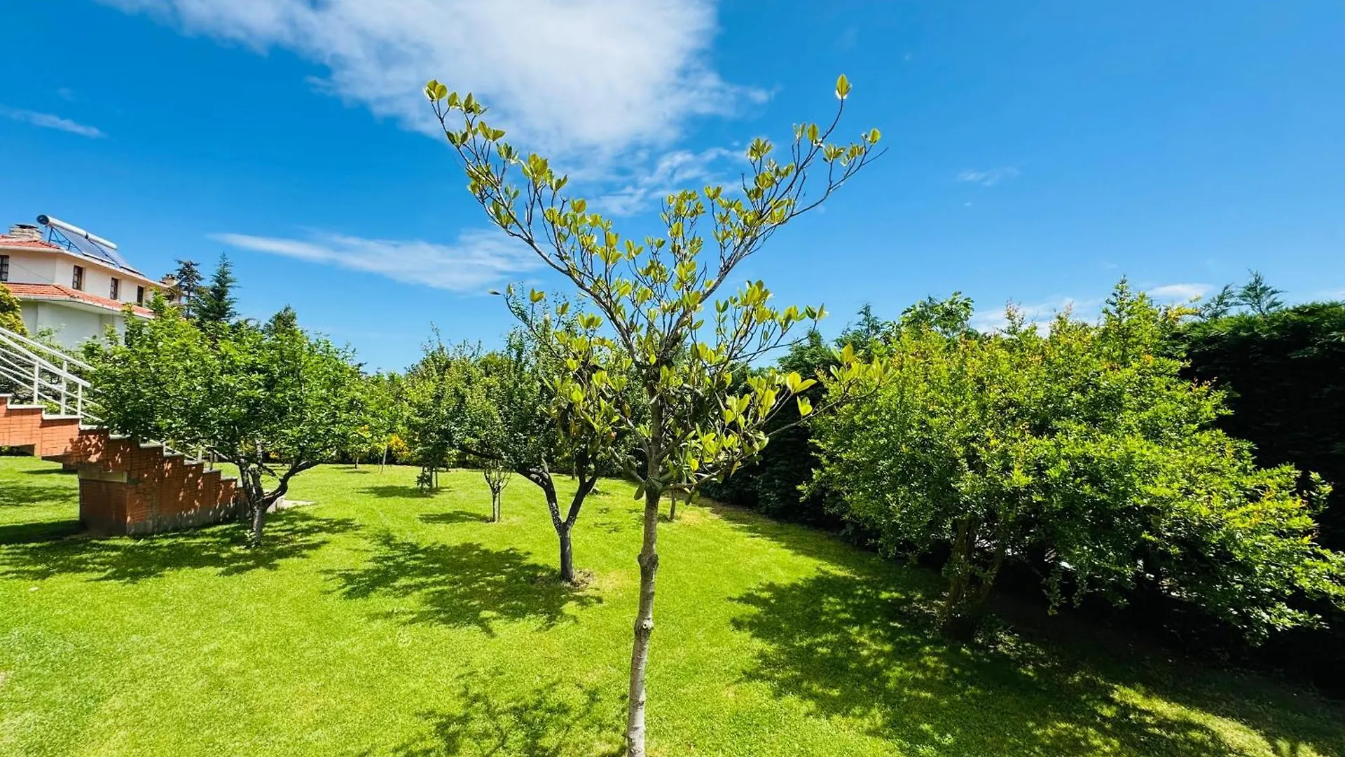 Istanbul Airport Treekos Suite Hotel Karaburun