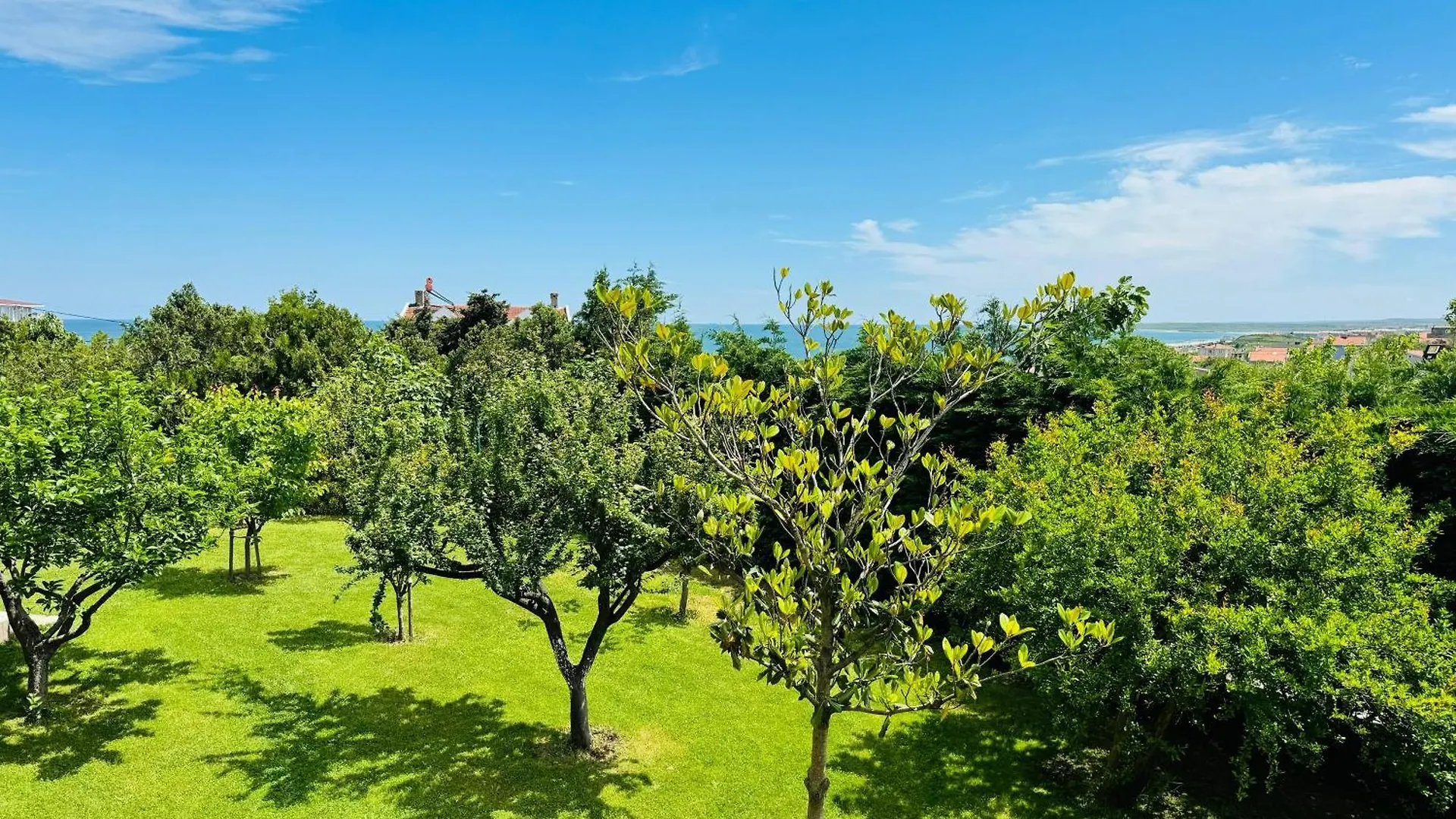 Istanbul Airport Treekos Suite Hotel Karaburun